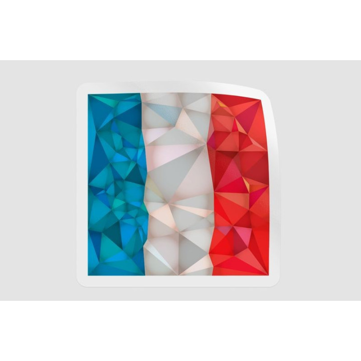 France Flag Poly - DecalsHouse