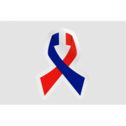 France Flag Ribbon Style 2 - DecalsHouse