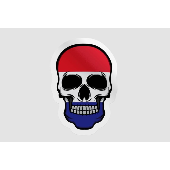 France Flag Skull - DecalsHouse