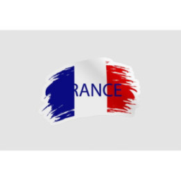 France Flag Style 2 - DecalsHouse