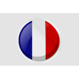France Flag Style 3 - DecalsHouse