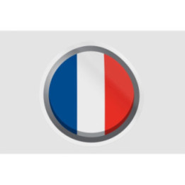 France Flag Style 5 Bce - DecalsHouse