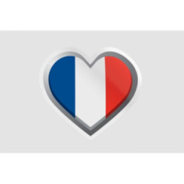 France Flag Style 6 Bce - DecalsHouse