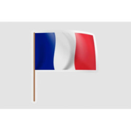 France Flag Waving Style 10 - DecalsHouse