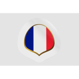 France Football - DecalsHouse