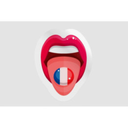 France Language - DecalsHouse