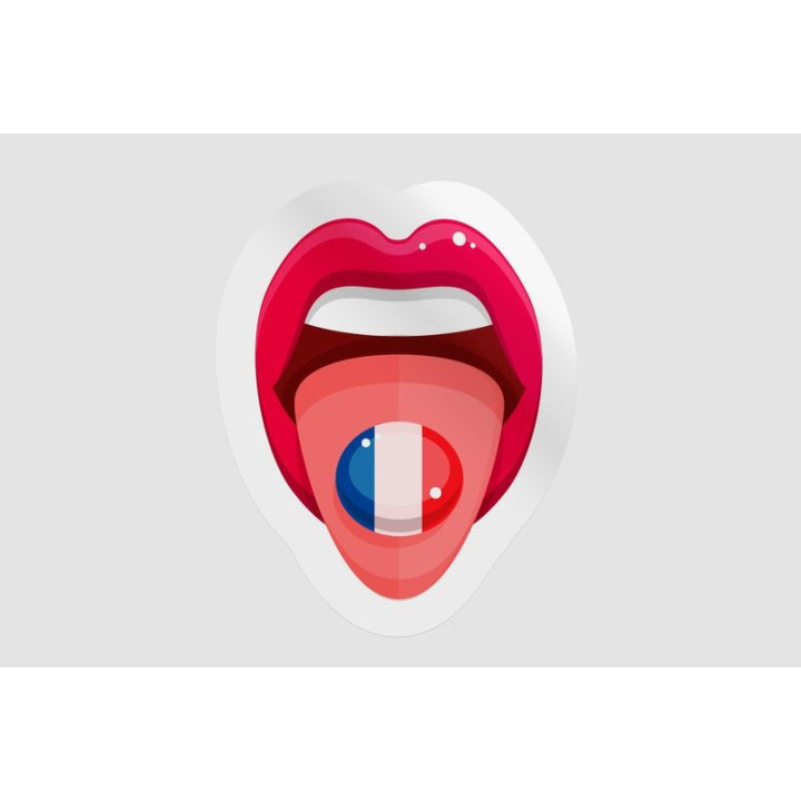 France Language - DecalsHouse