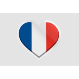 France Map Flag Emblem Style 2 - DecalsHouse
