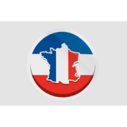 France Map Flag Emblem Style 3 - DecalsHouse