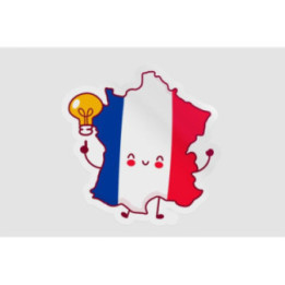 France Map Funny Face Style 2 - DecalsHouse
