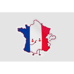 France Map Funny Face Style 3 - DecalsHouse