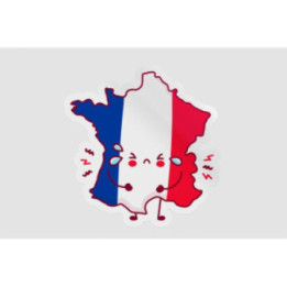 France Map Funny Face Style 4 - DecalsHouse