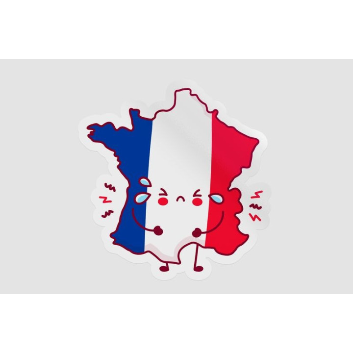 France Map Funny Face Style 4 - DecalsHouse
