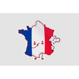 France Map Funny Face Style 9 - DecalsHouse