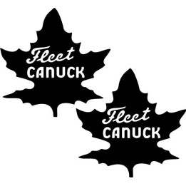Buy Fleet Canuck Aviation Online