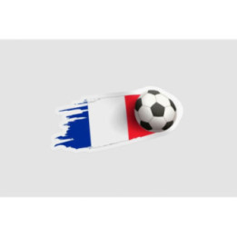 France Soccer Ball - DecalsHouse