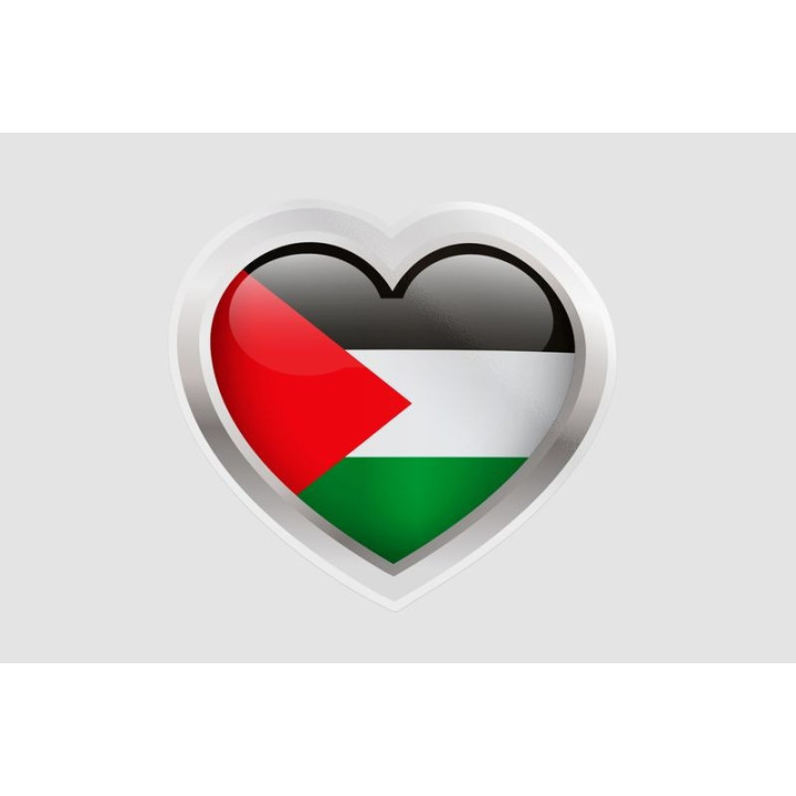 Gaza Flag Style 11 Sticker - DecalsHouse