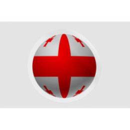 Georgia Flag Ball - DecalsHouse
