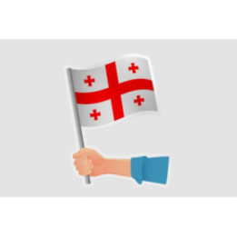 Georgia Flag Hand - DecalsHouse