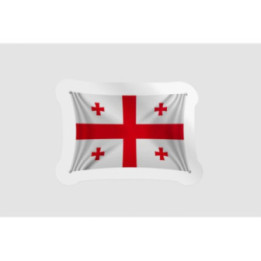 Georgia Flag Style 10 - DecalsHouse