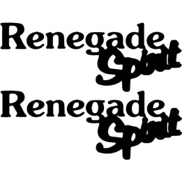 Buy Murphy Renegade Spirit Aviation Online