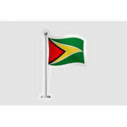 Guyana Flag Pole Style 2 - DecalsHouse