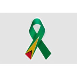 Guyana Flag Ribbon - DecalsHouse