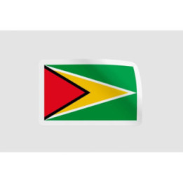 Guyana Flag Style 2 - DecalsHouse