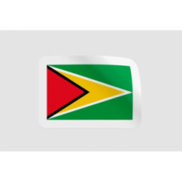 Guyana Flag Style 4 - DecalsHouse