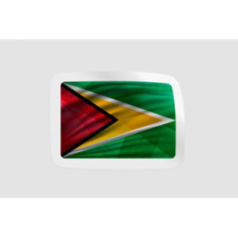 Guyana National Flag Style 2 - DecalsHouse