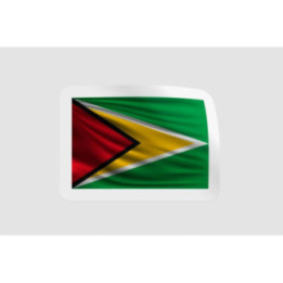 Guyana National Flag Style 3 - DecalsHouse