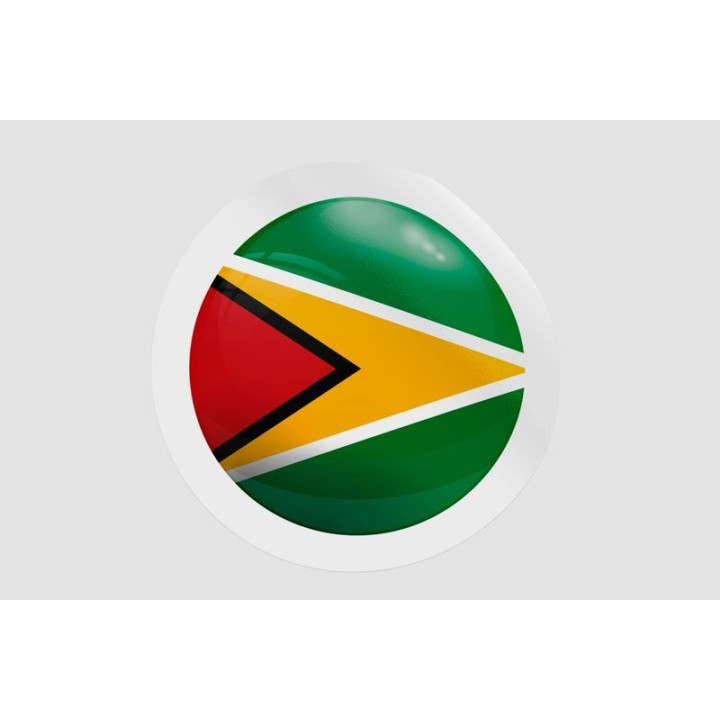 Guyana National Flag Style 4 - DecalsHouse