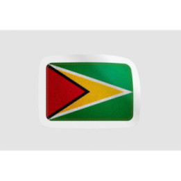 Guyana National Flag Style 8 - DecalsHouse
