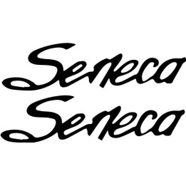 Buy Piper Seneca Aviation Online