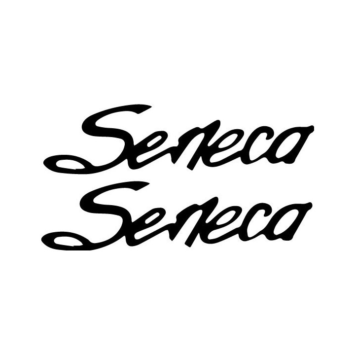 Buy Piper Seneca Aviation Online