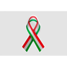 Hungary Flag Ribbon - DecalsHouse