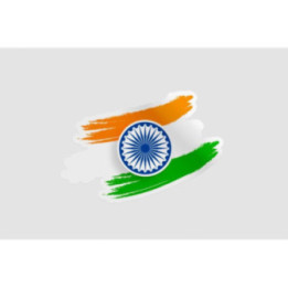 India Flag Brush - DecalsHouse
