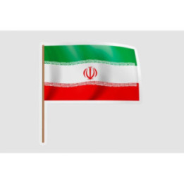 Iran Flag Waving - DecalsHouse