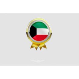 Kuwait Flag Style 26 Sticker - DecalsHouse