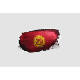 Kyrgyzstan Flag Style 2 Sticker - DecalsHouse