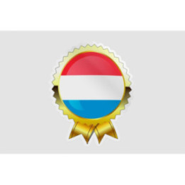 Luxembourg Flag Style 25 Sticker - DecalsHouse