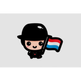 Luxembourg Flag Style 37 Sticker - DecalsHouse