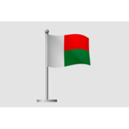 Madagascar Flag Style 10 Sticker - DecalsHouse