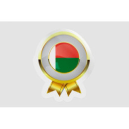 Madagascar Flag Style 14 Sticker - DecalsHouse