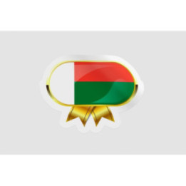 Madagascar Flag Style 16 Sticker - DecalsHouse