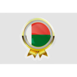 Madagascar Flag Style 21 Sticker - DecalsHouse
