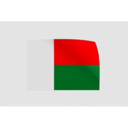 Madagascar Flag Style 25 Sticker - DecalsHouse