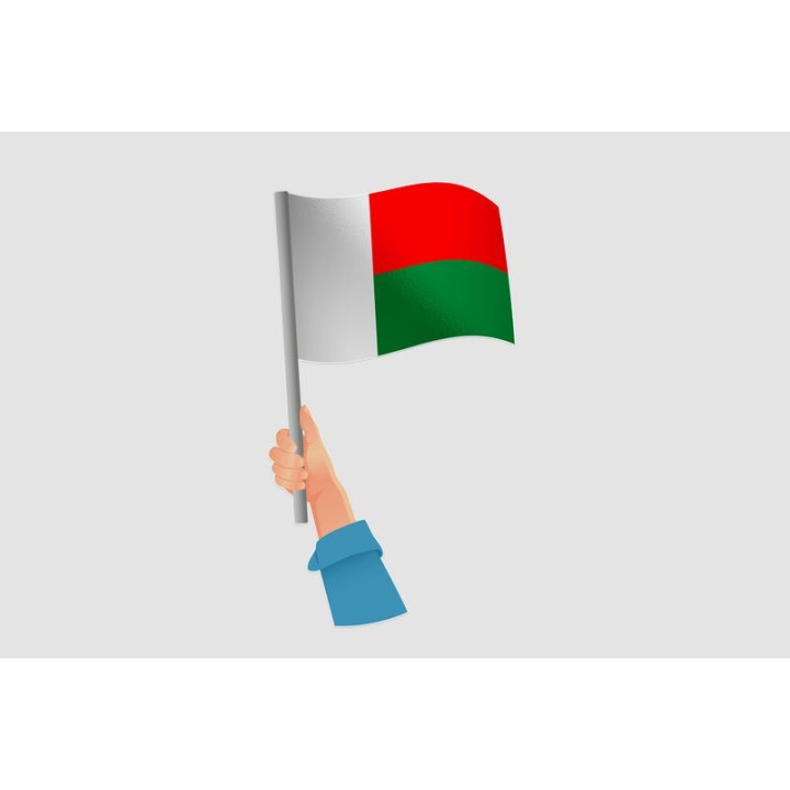 Madagascar Flag Style 26 Sticker - DecalsHouse