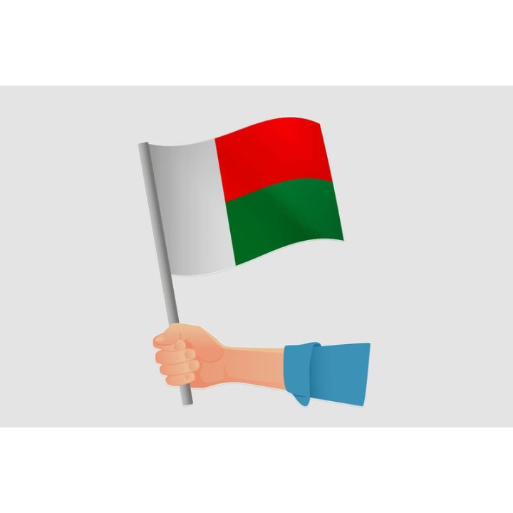 Madagascar Flag Style 27 Sticker - DecalsHouse