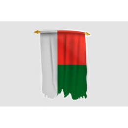 Madagascar Flag Style 8 Sticker - DecalsHouse